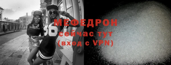стаф Ельня