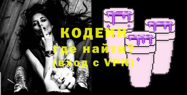 стаф Ельня