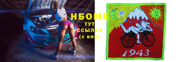 стаф Ельня