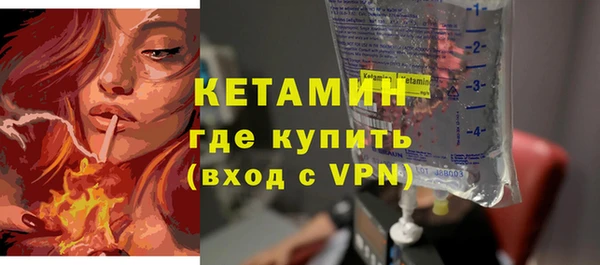 стаф Ельня