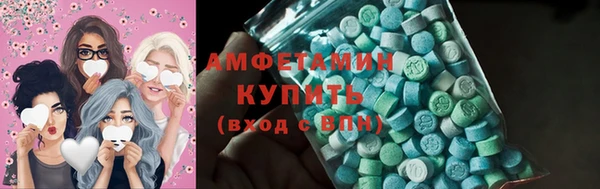 стаф Ельня