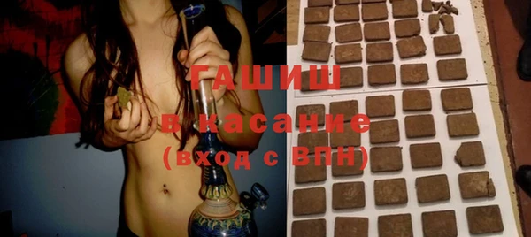 стаф Ельня