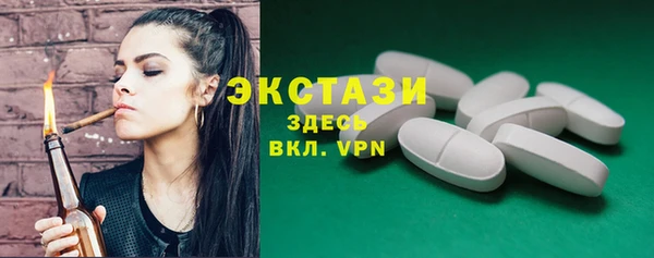 стаф Ельня