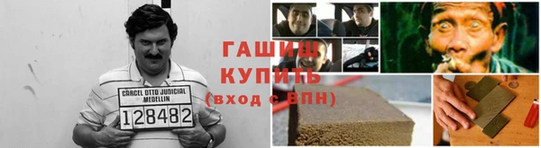 стаф Ельня
