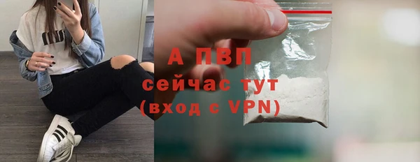 стаф Ельня