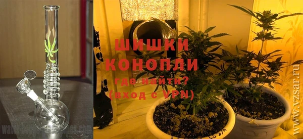 стаф Ельня