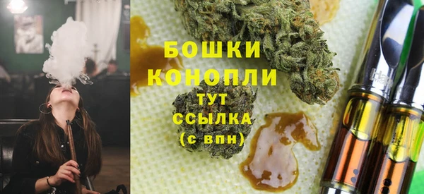 стаф Ельня