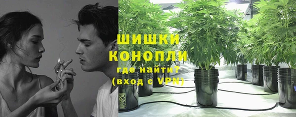 стаф Ельня