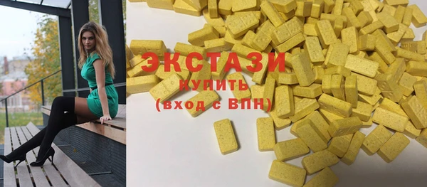 стаф Ельня