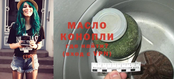 стаф Ельня