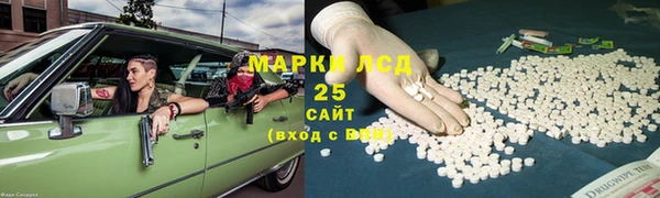 стаф Ельня